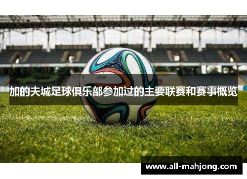 加的夫城足球俱乐部参加过的主要联赛和赛事概览 加的夫城足球俱乐部参加过的主要联赛和赛事概览