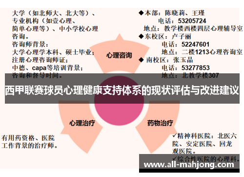 西甲联赛球员心理健康支持体系的现状评估与改进建议