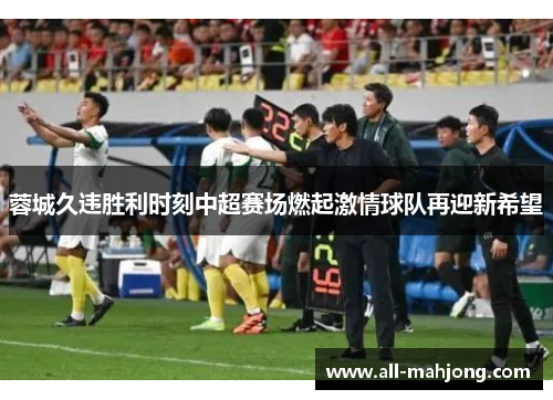 蓉城久违胜利时刻中超赛场燃起激情球队再迎新希望