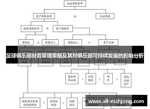 足球俱乐部财务管理策略及其对俱乐部可持续发展的影响分析
