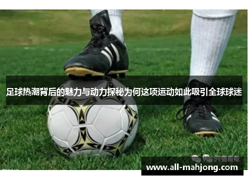 足球热潮背后的魅力与动力探秘为何这项运动如此吸引全球球迷