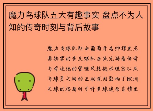 魔力鸟球队五大有趣事实 盘点不为人知的传奇时刻与背后故事